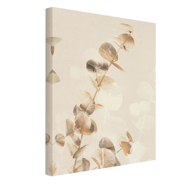 Canvas prints Golden Eucalyptus With White I