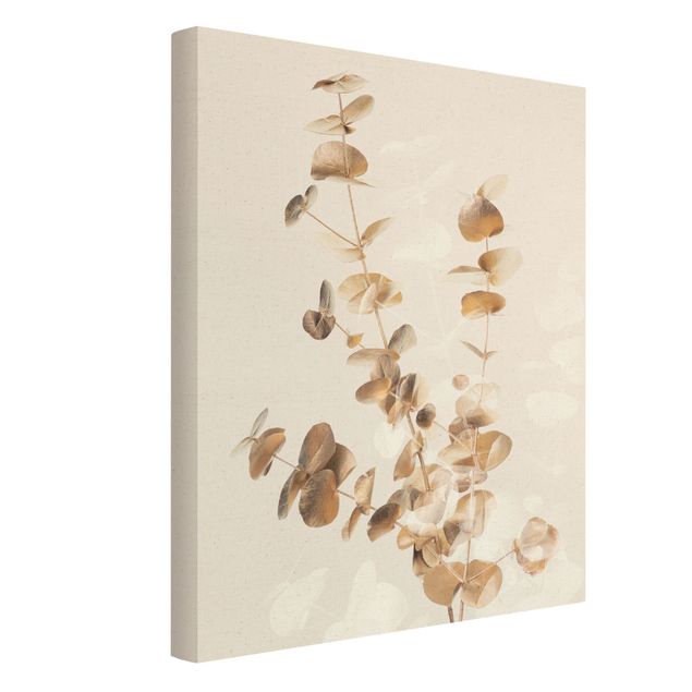 Canvas prints Golden Eucalyptus With White