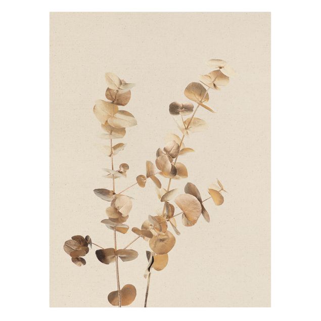 Prints Golden Eucalyptus