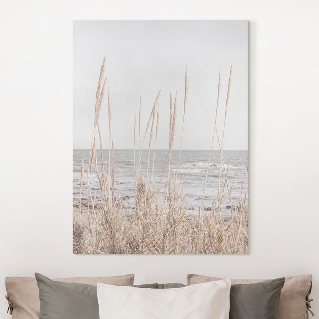 Canvas prints grasses Grasses by the sea