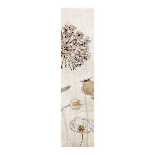 Sliding panel curtains flower Growing Old
