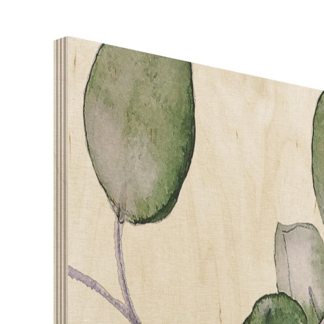 Wood prints Green Watercolour Eucalyptus Branch
