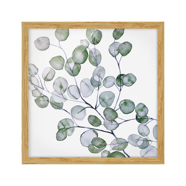 Flower pictures framed Green Watercolour Eucalyptus Branch