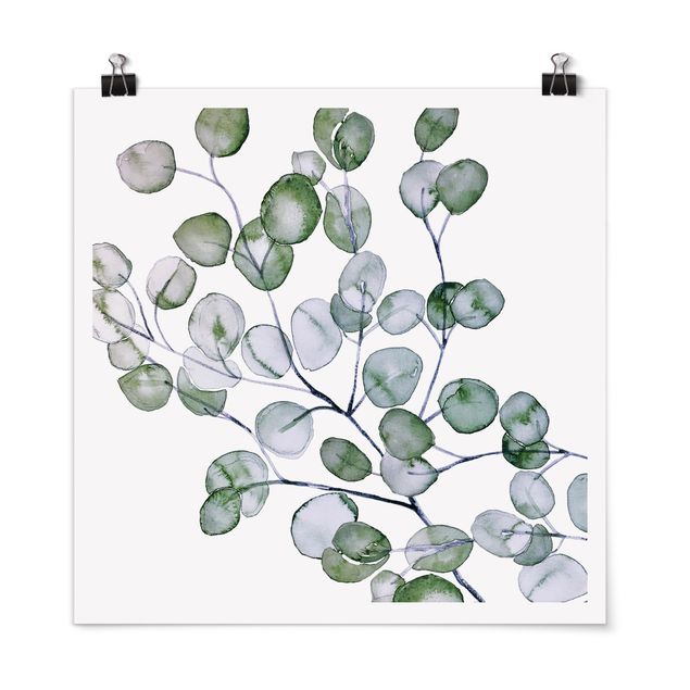 Modern art prints Green Watercolour Eucalyptus Branch