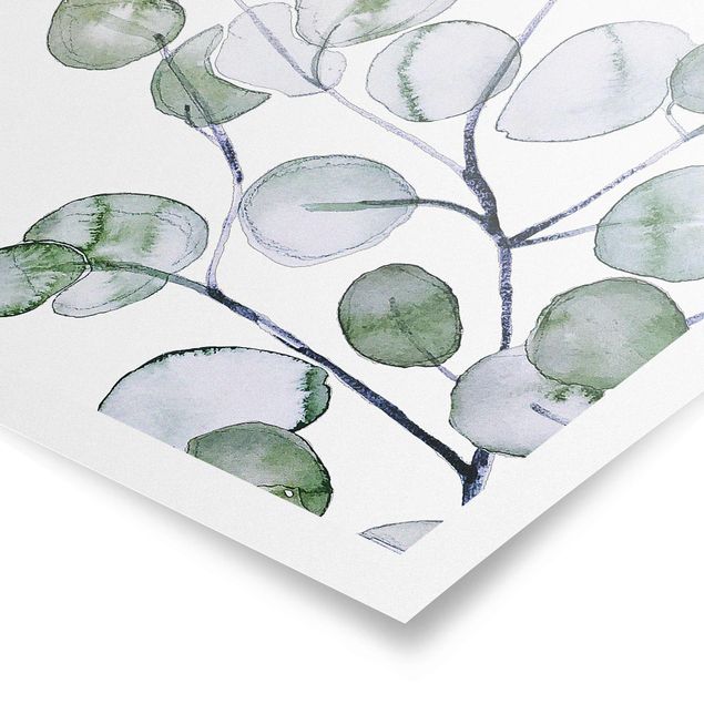 Prints green Green Watercolour Eucalyptus Branch