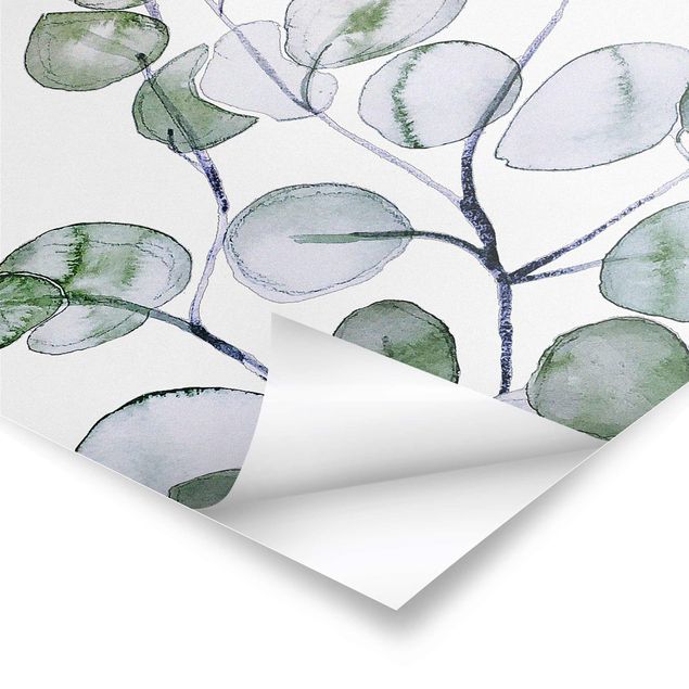 Prints Green Watercolour Eucalyptus Branch