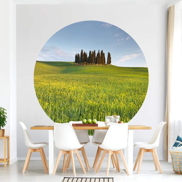 Kitchen Green Field In Tuscany