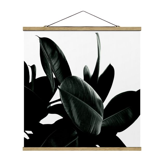 Floral picture Rubber Tree Dark Green
