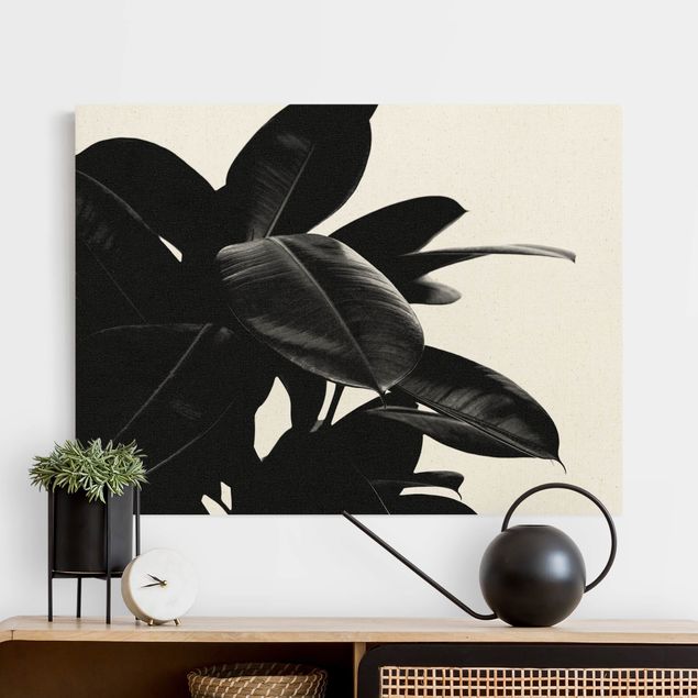 Kitchen Rubber Tree Black And White