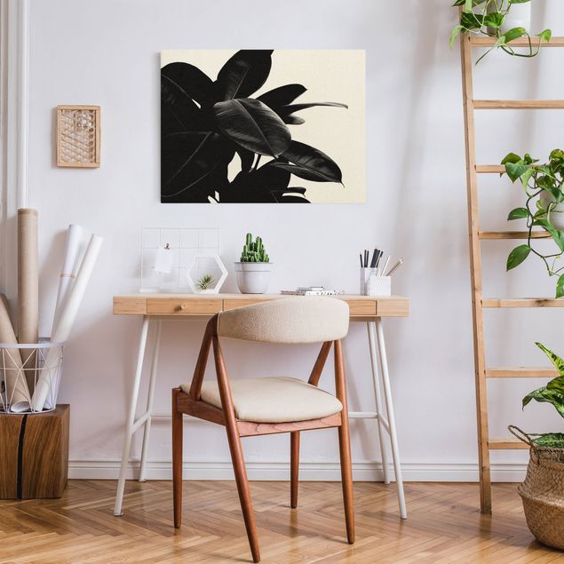 Black and white canvas art Rubber Tree Black And White
