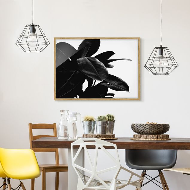 Floral canvas Rubber Tree Black And White