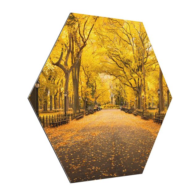 Architectural prints Autumn In Central Park