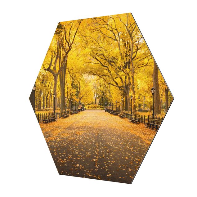 Prints Autumn In Central Park