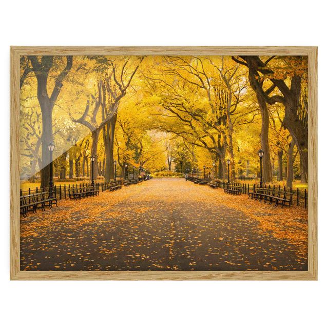 Skyline prints Autumn In Central Park