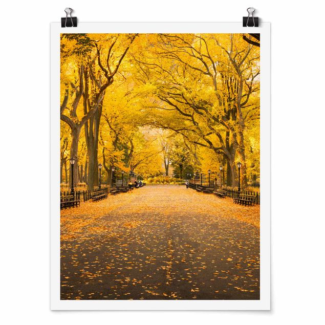 Architectural prints Autumn In Central Park