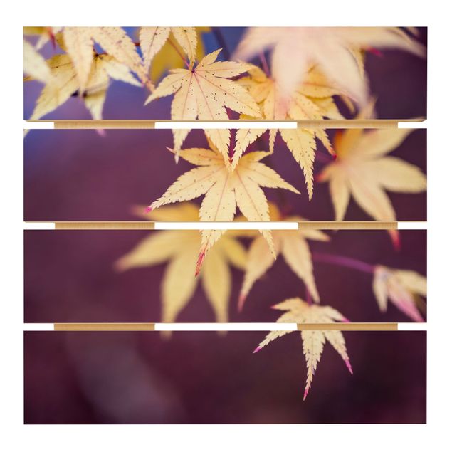 Wood photo prints Autumn Maple Tree