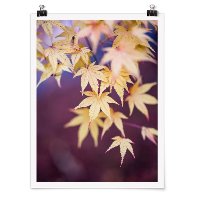 Prints modern Autumn Maple Tree
