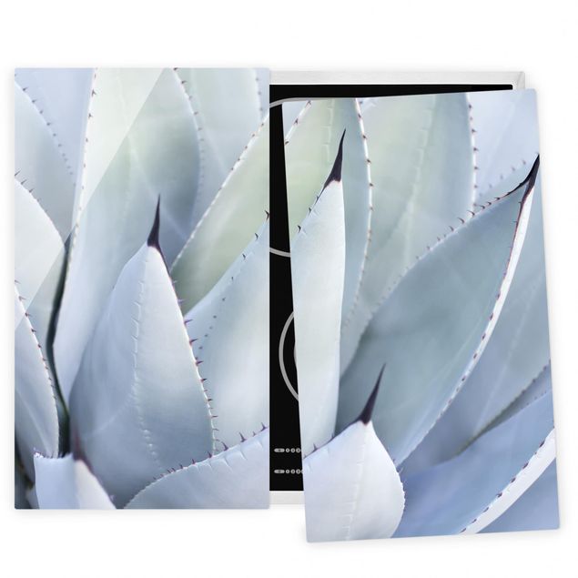 Stove top covers flower Agave