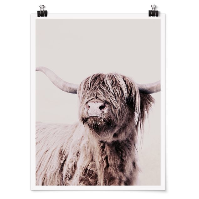 Contemporary art prints Highland Cattle Frida In Beige
