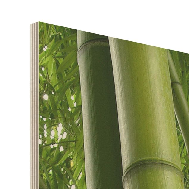 Wood photo prints Bamboo Trees No.1