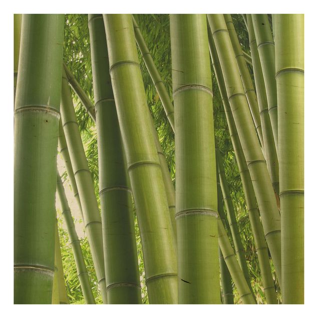 Wood prints flower Bamboo Trees No.1