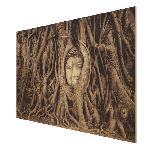 Wood prints flower Buddha In Ayutthaya Lined From Tree Roots In Brown