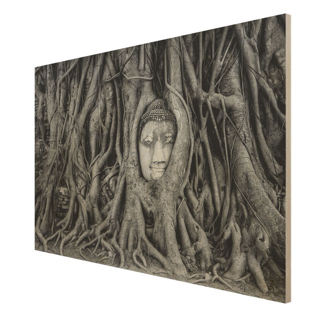 Wood prints flower Buddha In Ayutthaya Lined From Tree Roots In Black And White
