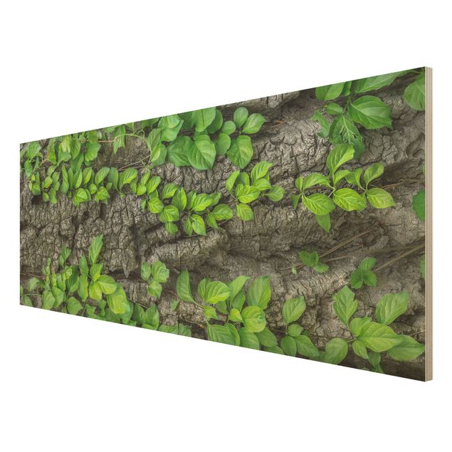 Wood prints landscape Ivy Tendrils Tree Bark