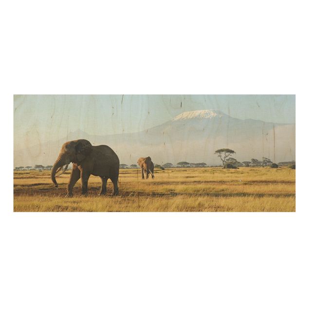 Wood prints landscape Elephants In Front Of The Kilimanjaro In Kenya