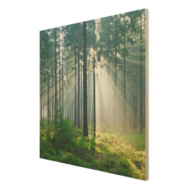 Wood prints landscape Enlightened Forest