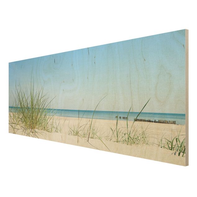 Wood prints beach Baltic Sea Coast