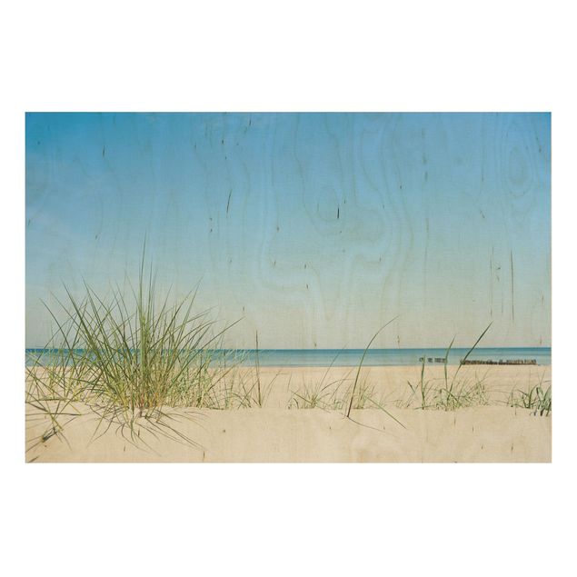 Wood prints landscape Baltic Sea Coast