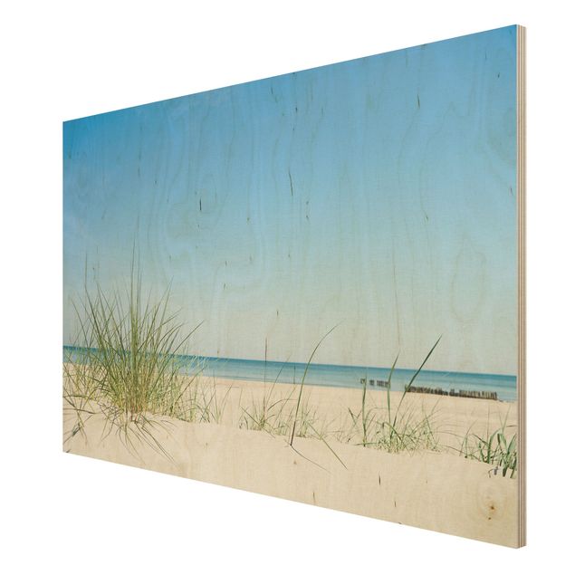 Wood prints beach Baltic Sea Coast
