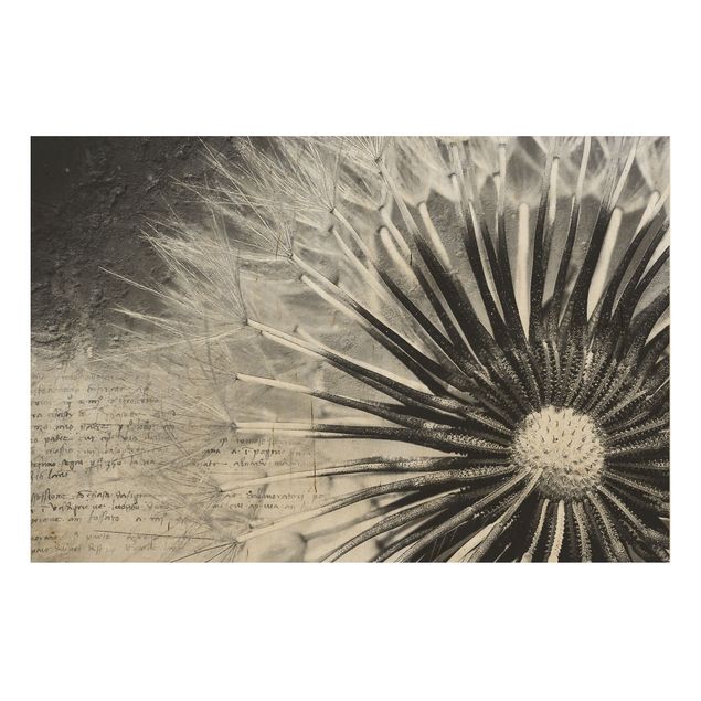 Wood prints flower Dandelion Black & White
