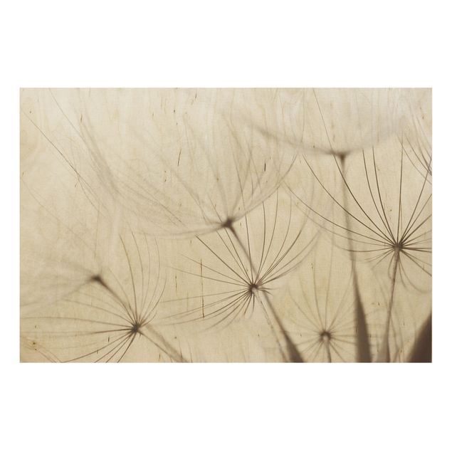 Wood prints flower Gentle Grasses