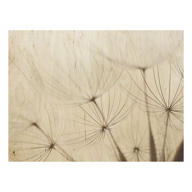 Wood prints flower Gentle Grasses