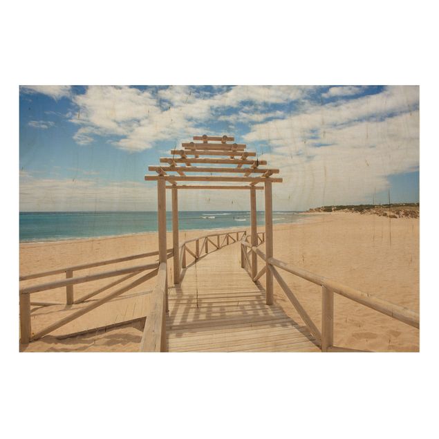 Wood prints landscape Beach Path To The Sea In Andalusia