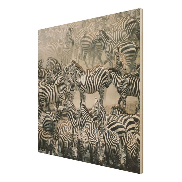 Wood prints Zebra Herd