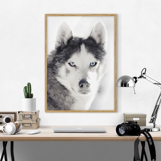 Dog print Husky Portrait