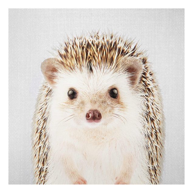 Prints animals Hedgehog Ingolf