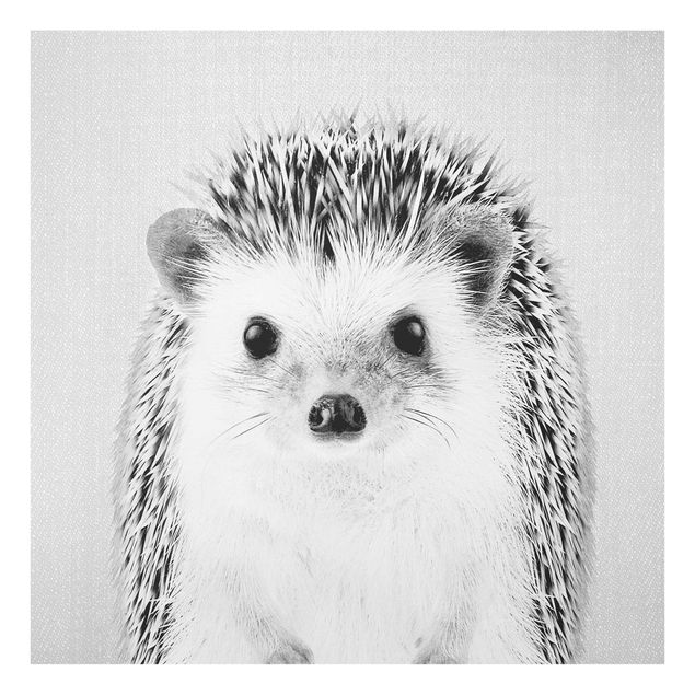 Prints animals Hedgehog Ingolf Black And White