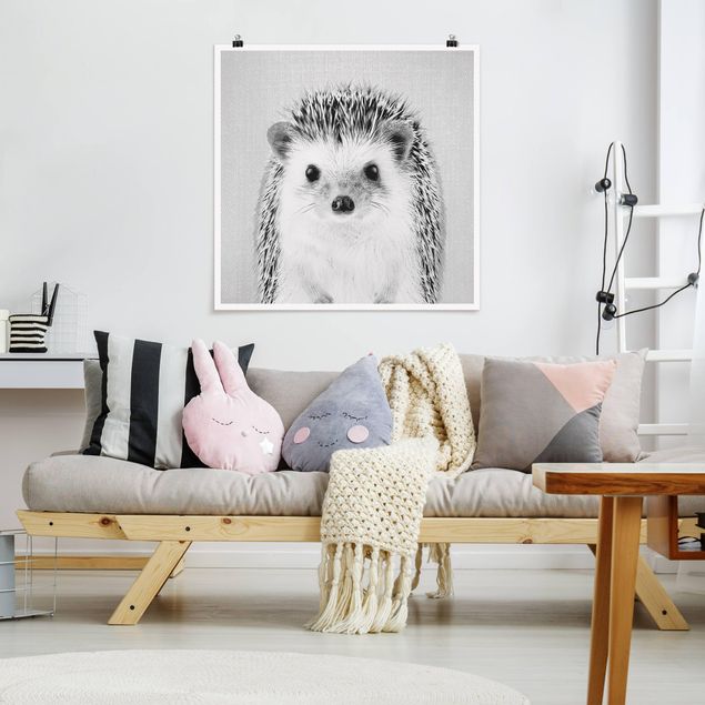 Animal canvas Hedgehog Ingolf Black And White