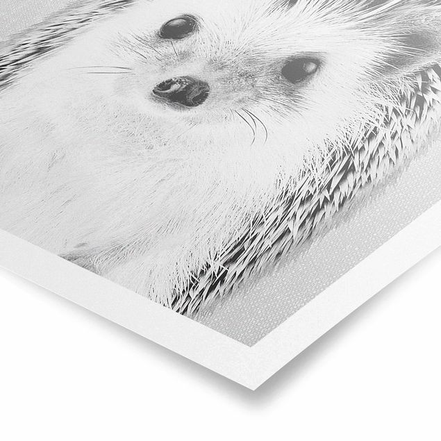 Prints modern Hedgehog Ingolf Black And White