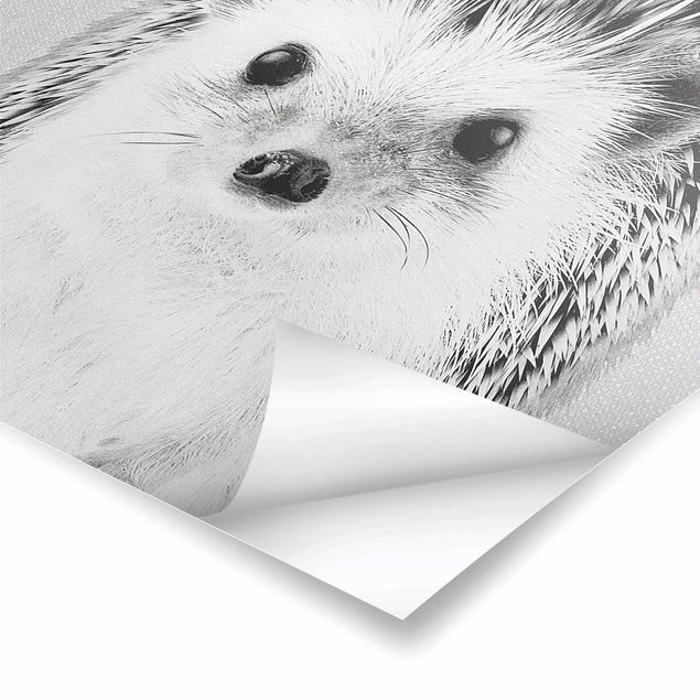 Gal Design prints Hedgehog Ingolf Black And White