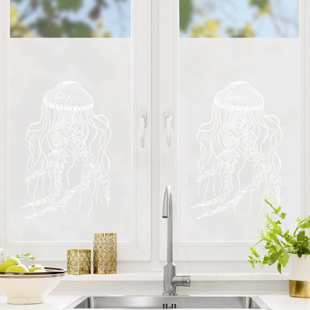 Film adhesive Illustration Jellyfish
