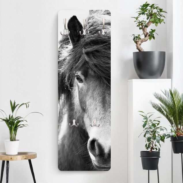 Wall mounted coat rack black and white Icelandic Horse In Black And White