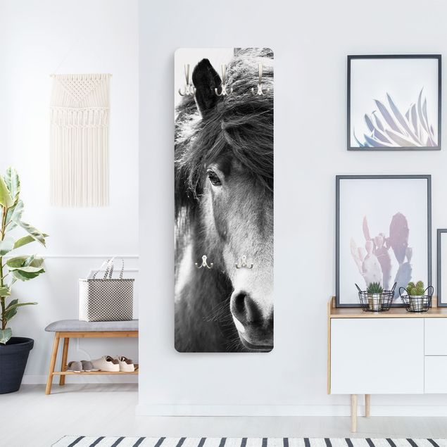 Wall mounted coat rack animals Icelandic Horse In Black And White