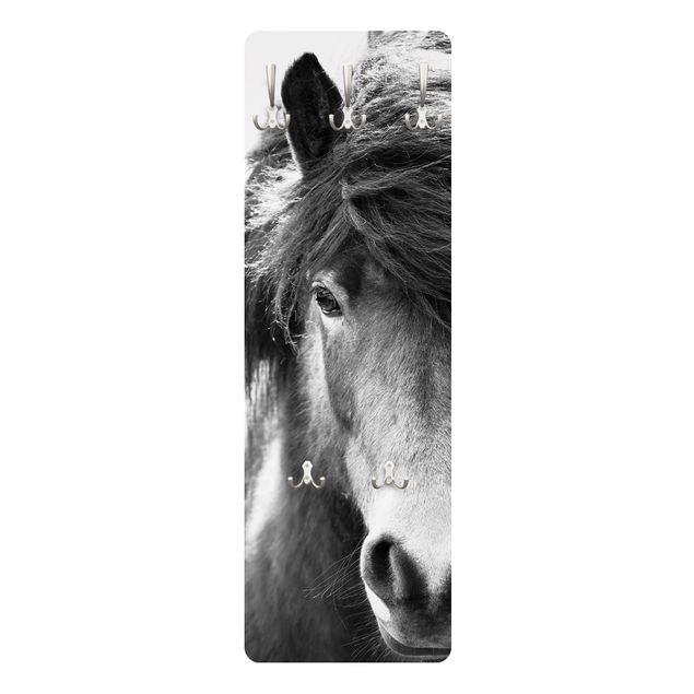 Wall coat hanger Icelandic Horse In Black And White