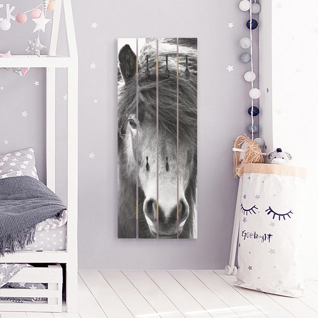 Shabby chic clothes rack Icelandic Horse In Black And White