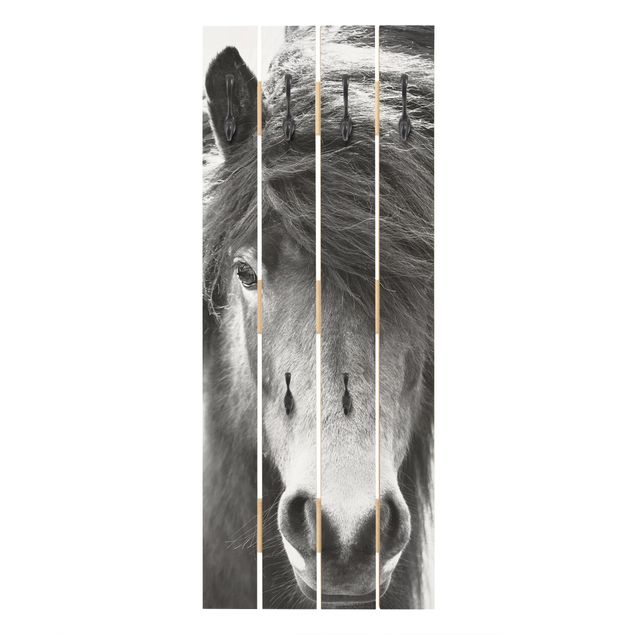 Monika Strigel Art prints Icelandic Horse In Black And White